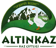ALTINKAZ
